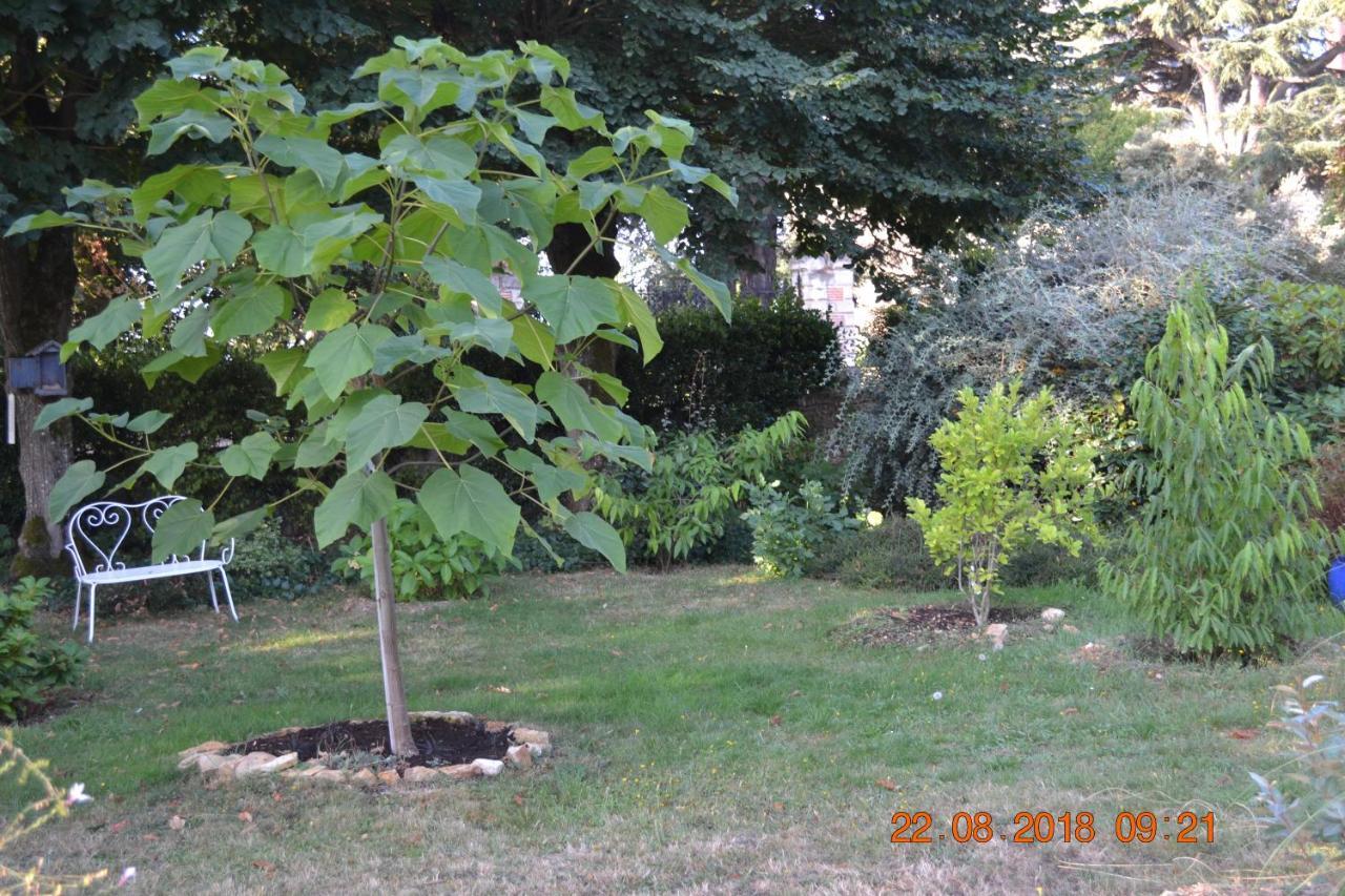 Hotel Le Castel Brissac-Quince Exteriér fotografie